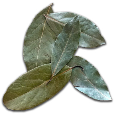 Lagerblad – Hoja de Laurel
