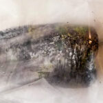 Lägg rostade poblanon i en plastpåse