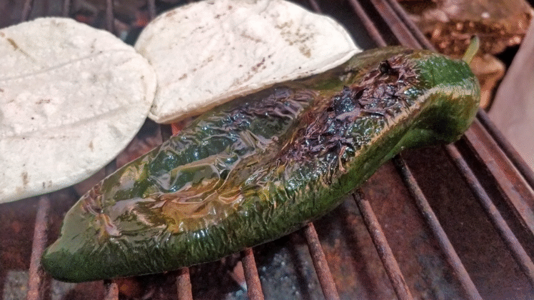 Poblano – mångsidig chili för såser, fyllning och grill