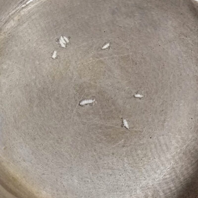 Testa om riskornen börjar bubbla