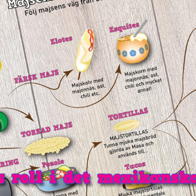 Majsens vikt i det mexikanska köket