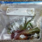 Lägg de färdigrostade poblano-frukterna i en plastpåse och låt ångas av sin egen värme