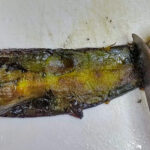 Dra bort eller skrapa bort poblanons skinn med exempelvis en kniv, eller fingrarna