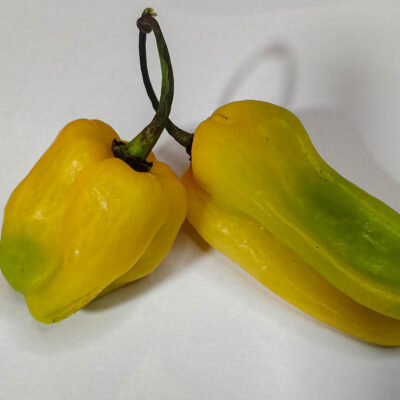 Habaneros