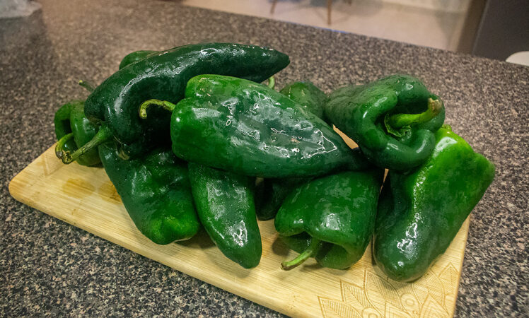Poblano-chili-frukter