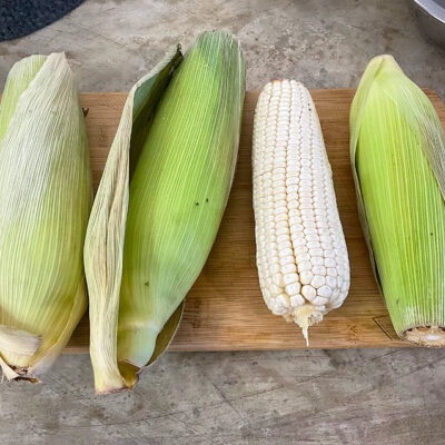 majskolvar med vit majs