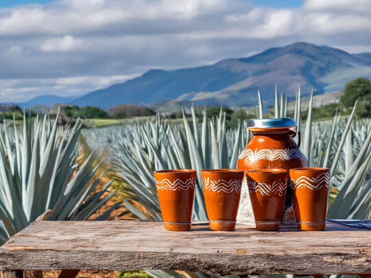 Pulque: Magueyens forntida nektar