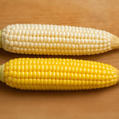 Majs – Mexikos själ både som sädesslag som grönsak