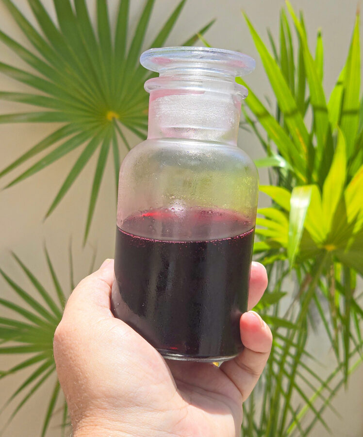 Cordial på Hibiskus (flor de jamaica)