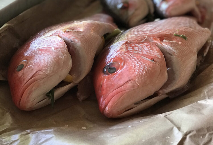 Huachinango eller red snapper