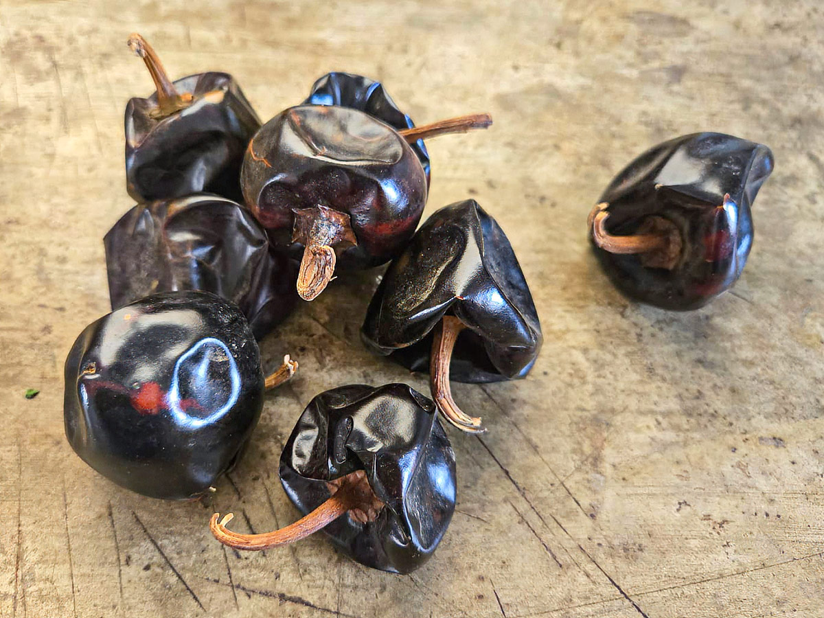 Chile Cascabel