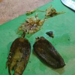 Dra av skalet från paprikan eller poblanon