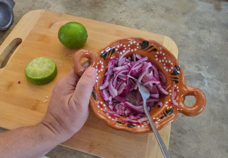 Snabbpicklad rödlök — Cebolla encurtida